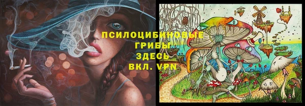 круглые Алзамай