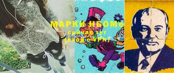 шишки Алексин