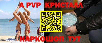 крисы Славгород