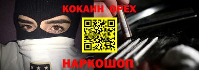 крисы Славгород
