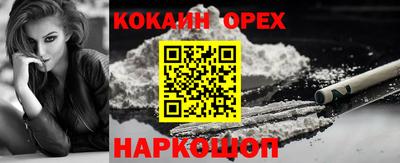 крисы Славгород