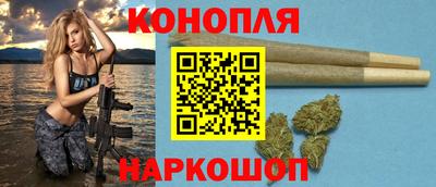 крисы Славгород