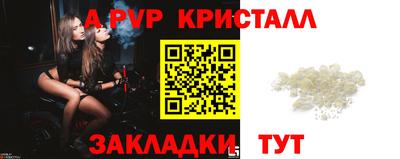 крисы Славгород