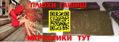 крисы Славгород