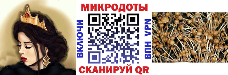 kraken ONION  Шадринск  Псилоцибиновые грибы Psilocybine cubensis 