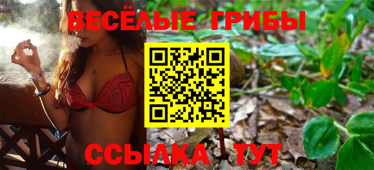 Псилоцибиновые грибы прущие грибы Шадринск