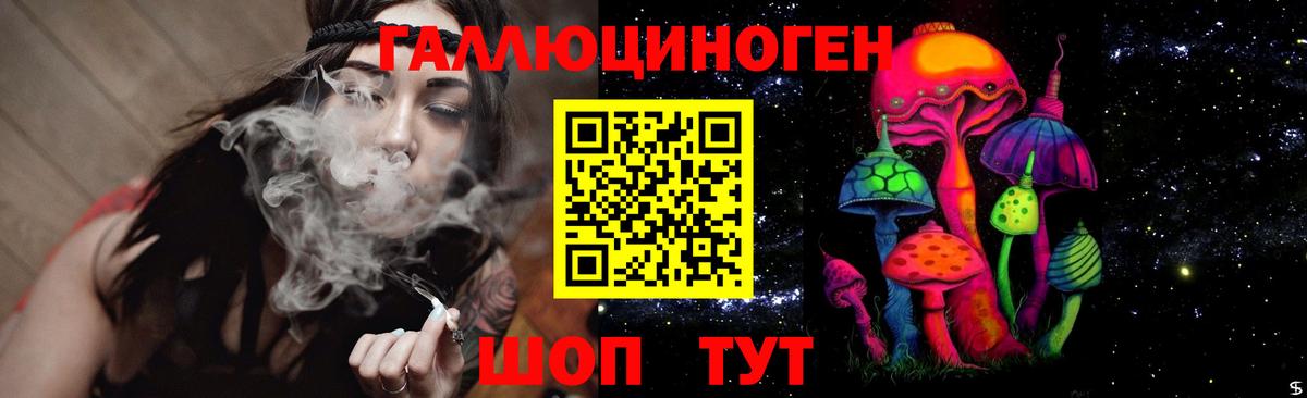 Псилоцибиновые грибы Psilocybe  Вход с VPN  Шадринск 