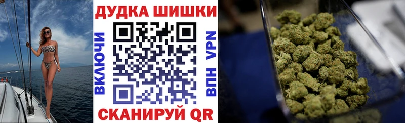 где купить наркоту  Шадринск  Бошки Шишки сатива 
